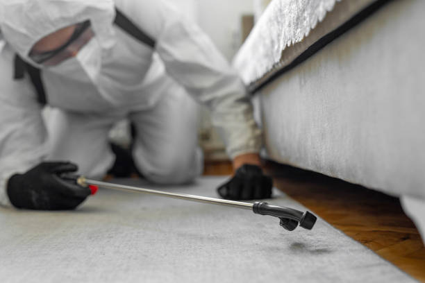 Professional Ant Control technician working in Columbia City, OR