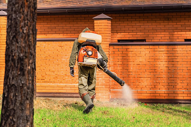 Top rated local Ant Control specialists in Columbia City, OR